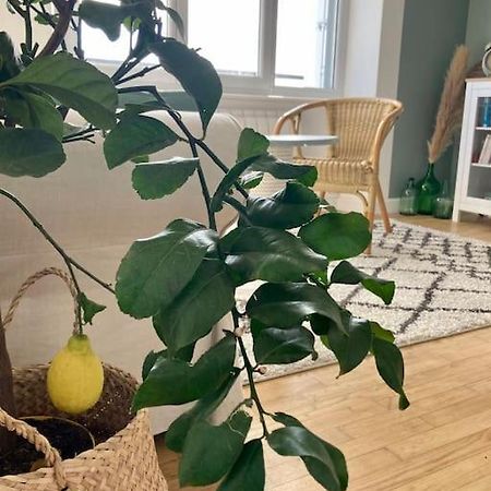 Le Citronnier Appartement Fouesnant Buitenkant foto