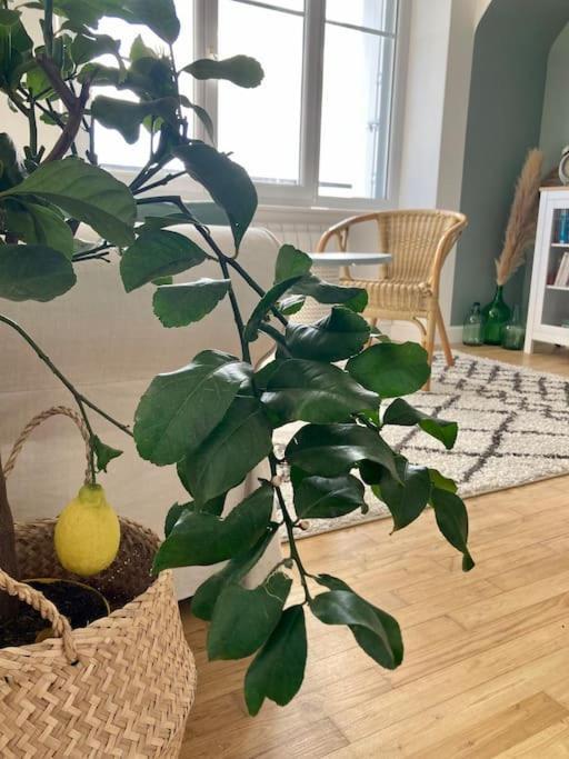Le Citronnier Appartement Fouesnant Buitenkant foto